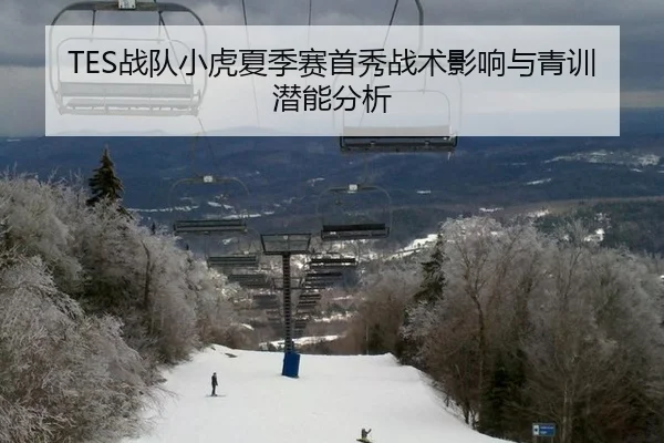 TES战队小虎夏季赛首秀战术影响与青训潜能分析